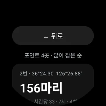 내 포인트